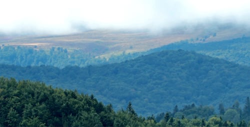 Mountains and Trees Obscured by Clouds
