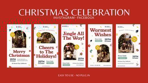 Christmas Celebration Instagram Stories