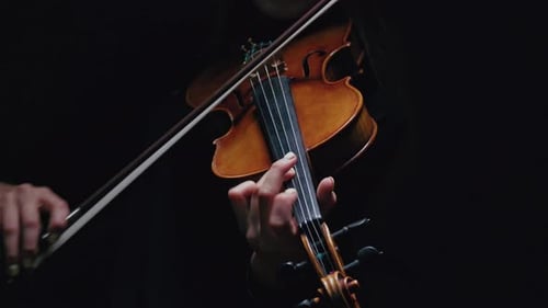 Girl Violin Musician Playing at Studio. Studio Black Background