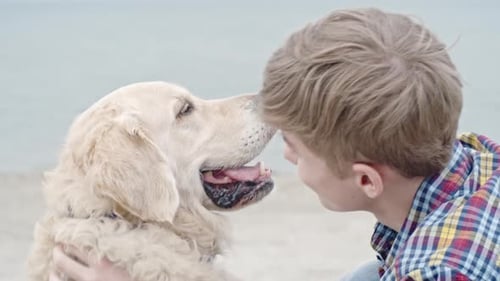 Young Adult Embraces Golden Retriever Dog on Beach
