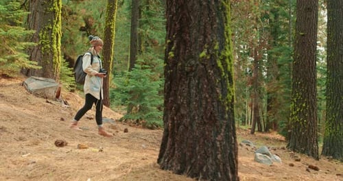 Female Traveler and Blogger Walking By Forest in Cinematic Beautiful Mountains