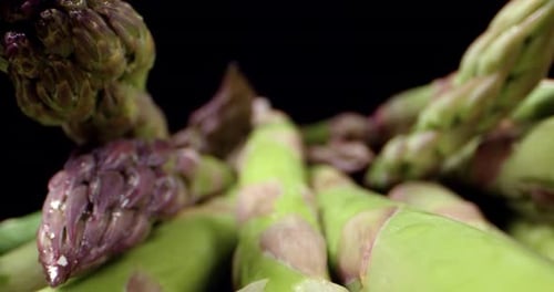 Spargel, grünes Gemüse, Supermakro, Nahaufnahme, hochwertiges Gemüse