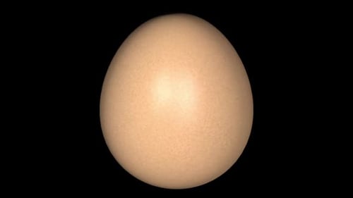 Animated Egg Morphing Shape Transformation Loop