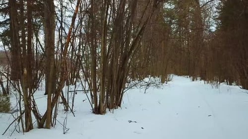 Winter, Februar, Steinbruch und Fluss 16