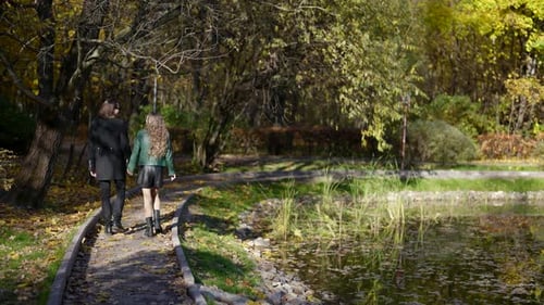 Romantischer Spaziergang im Park am Herbsttag Mann und seine Freundin halten sich an den Händen und schlendern