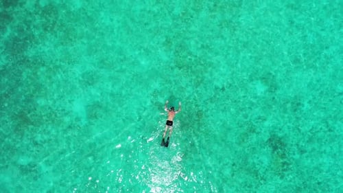 Guy and girl sunbathing on luxury seashore beach time by blue sea and white sandy background of the