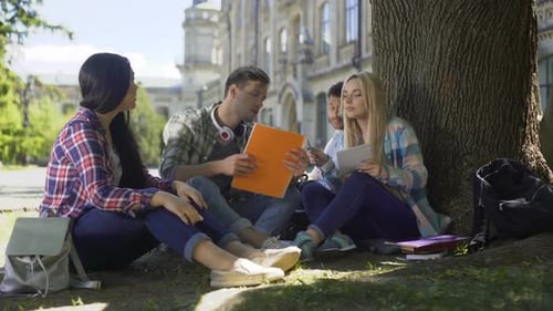 University Students Gathered Under Tree, Having Discussion, Working on Project