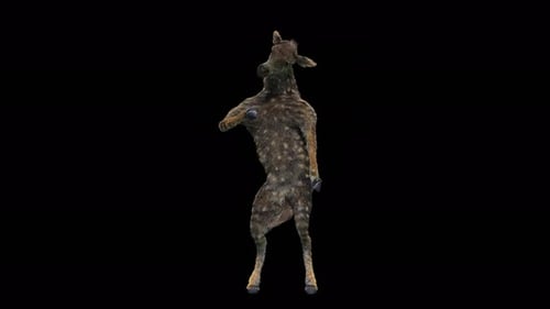 Animated Realistic Deer-like Creature Character Dancing