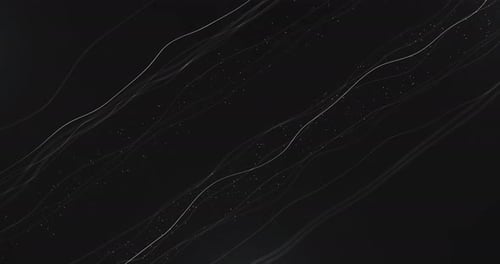 Black Line Particles Waving
