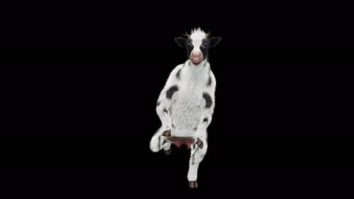 Dancing Calf 3D Animation with Alpha Channel