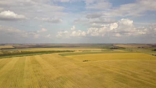 Golden Farm Fields From Above on Cloudy Day