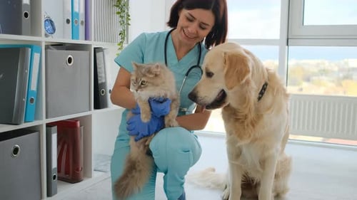 Doctor with Cat and Dog in Clinic