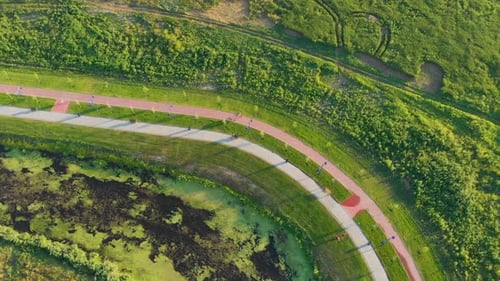 Bicycle Path In The Park