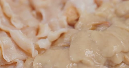 Sashimi Geoduck fresco para olla caliente