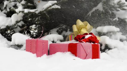 Nevadas en Navidad y Año Nuevo
