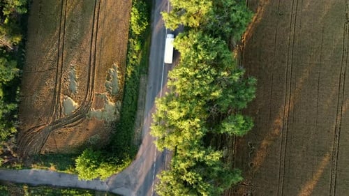 Aerial Drone View Flight Over Asphalt Road with Green Trees