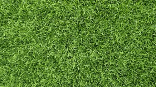 Zoom out aerial view of beautiful green grass courtyard texture background