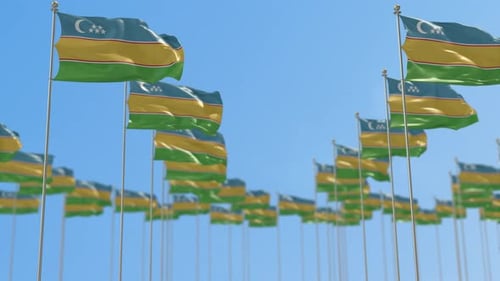 Waving Flags Animation Against Clear Blue Sky
