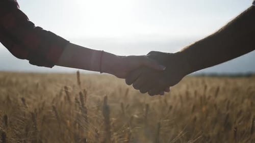 Farmers Shaking Hands in Golden Wheat Field