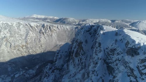 Flight Over the Snowcovered Spruce Forest with Mountains in the Background