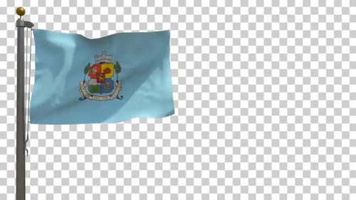 Waving Light Blue Flag with Colorful Coat of Arms Animation