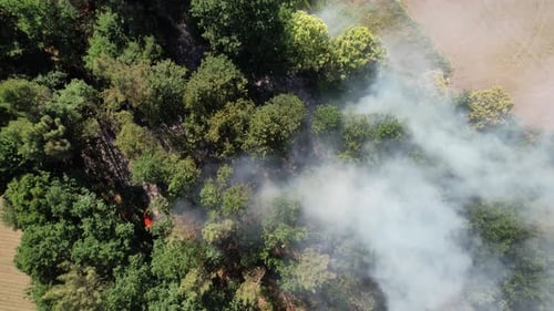 Environment Protection. Forest Fire Aerial View