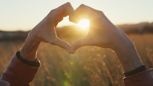 Hands Making Heart Shape During Golden Sunset
