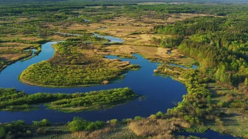 Birds Flying Above Curved River Landscape In Sunny Spring Day