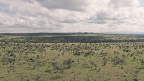 High aerial drone view of african savanna landscape in Laikipia, Kenya
