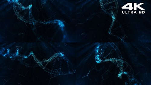DNA-Partikel