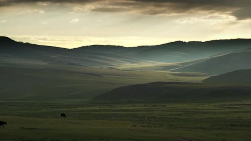 Rolling Green Hills at Hazy Sunrise