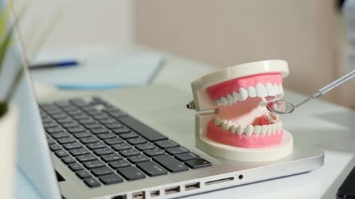 Dental Model Examined on Laptop