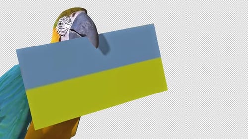 Animated Macaw Parrot Holding Blue and Yellow Banner