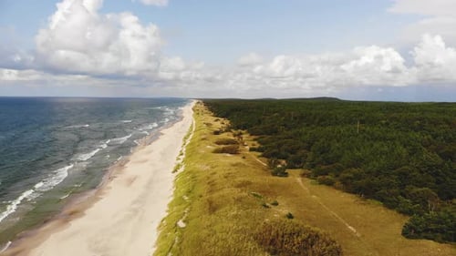 AERIAL: Flying over the forest and sandy beach near the Baltic Sea shore