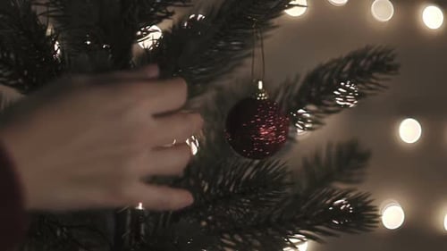 Touching Christmas Ornament And Tree