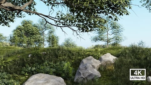 Large Rocks Lying In The Side Of A Field Covered With Grass