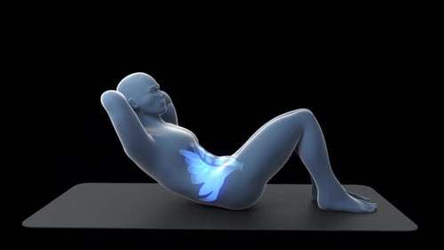 Human Abdominal Muscle Anatomy Animation During Sit-up Exercise