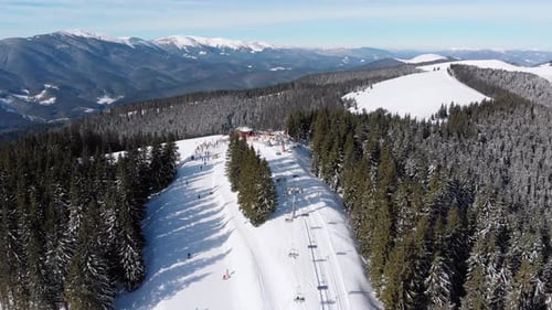 Aerial Ski Slopes with Skiers and Ski Lifts on Ski Resort. Snowy Mountain Forest