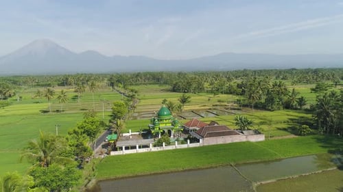 Mosque Among Rice Fields Java Indonesia