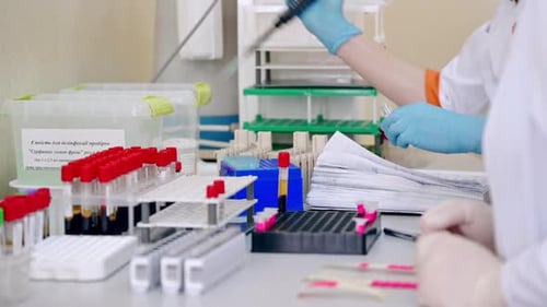 Medical Professional Working in Laboratory with Pipette