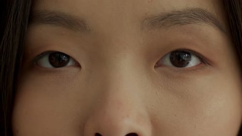 Beautiful Brown Eyes and Eyebrows of an Asian Closeup Look at the Camera