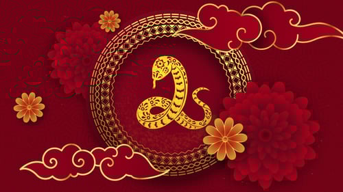 Chinese New Year 2025