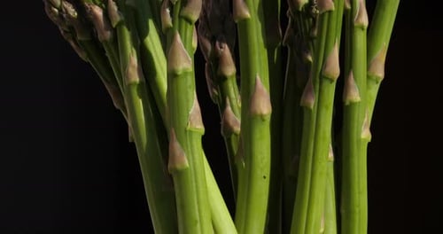 Asparagus,also known as garden asparagus