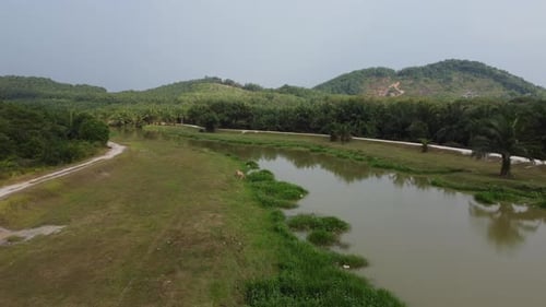 Aerial view of grassland beside river