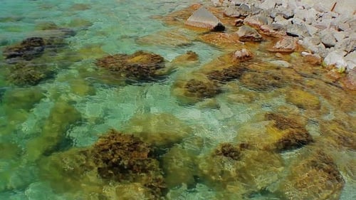 Clear Turquoise Water Lapping Against Rocky Shore