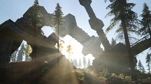 UFO Crashed in the Forest