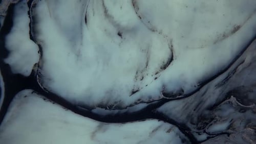 Abstract Art Black and White Paint Fluid Mixture