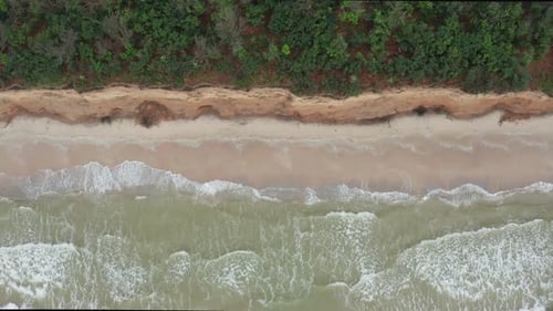 Aerial View of Ocean Waves Beating Against a Clay Shore on a Wooded Tropical Seaboard