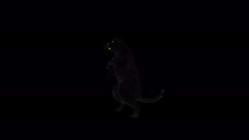 Modern 3D Animated Black Panther with Glowing Eyes