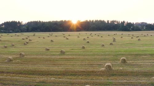 A Stack Of Hay And Sun